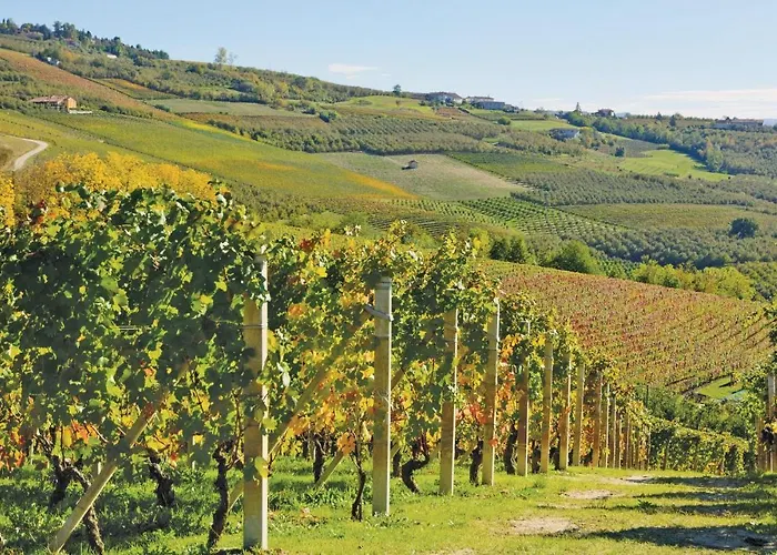 Castello Dei Diamanti Vakantiehuis Belvedere Langhe